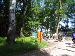 IMG_8627